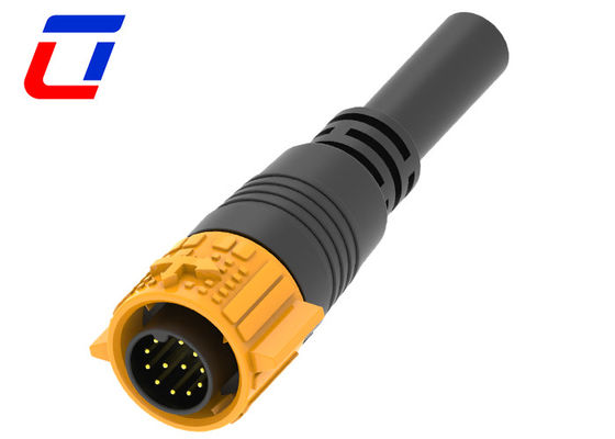 Männliches Kabel 12-Pin-Wasserdichtes Anschlussdraht IP67 für die Signalübertragung